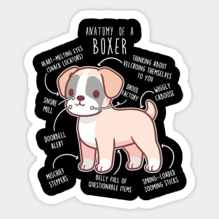 Boxer Dog Fawn Anatomy Sticker